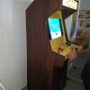 Borne Arcade PONG by PLUG & BORNE