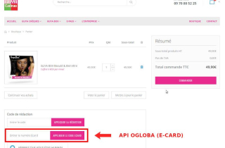 Intégration API OGLOBA (E-Card)